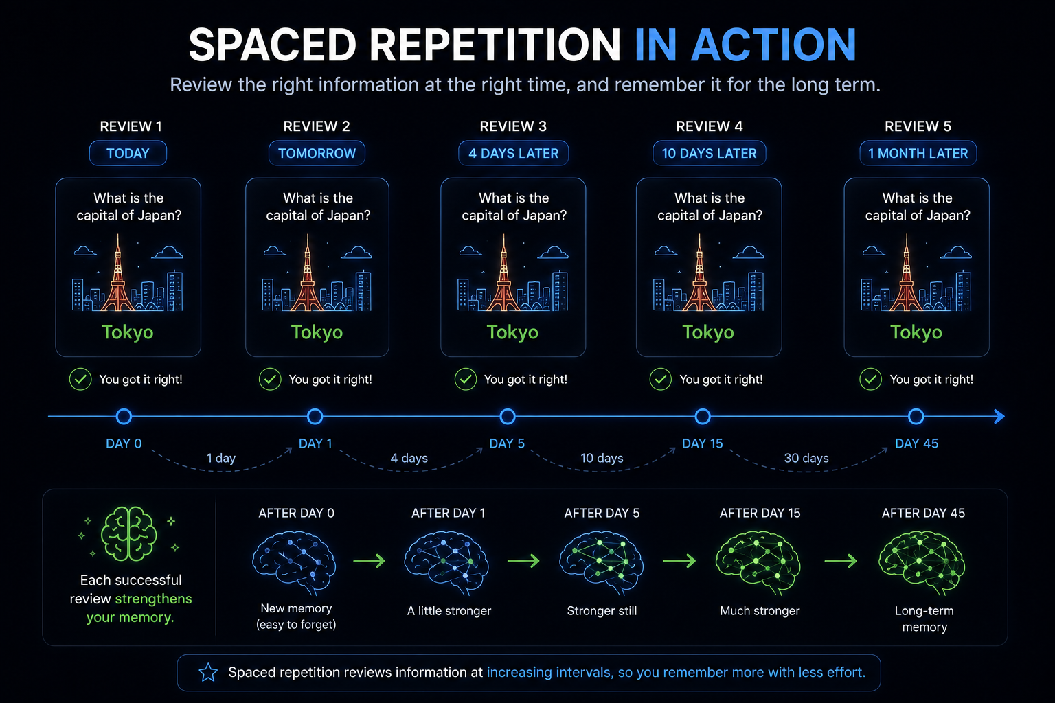 Tokyo spaced repetition example